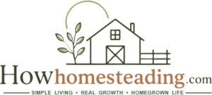 howhomesteading